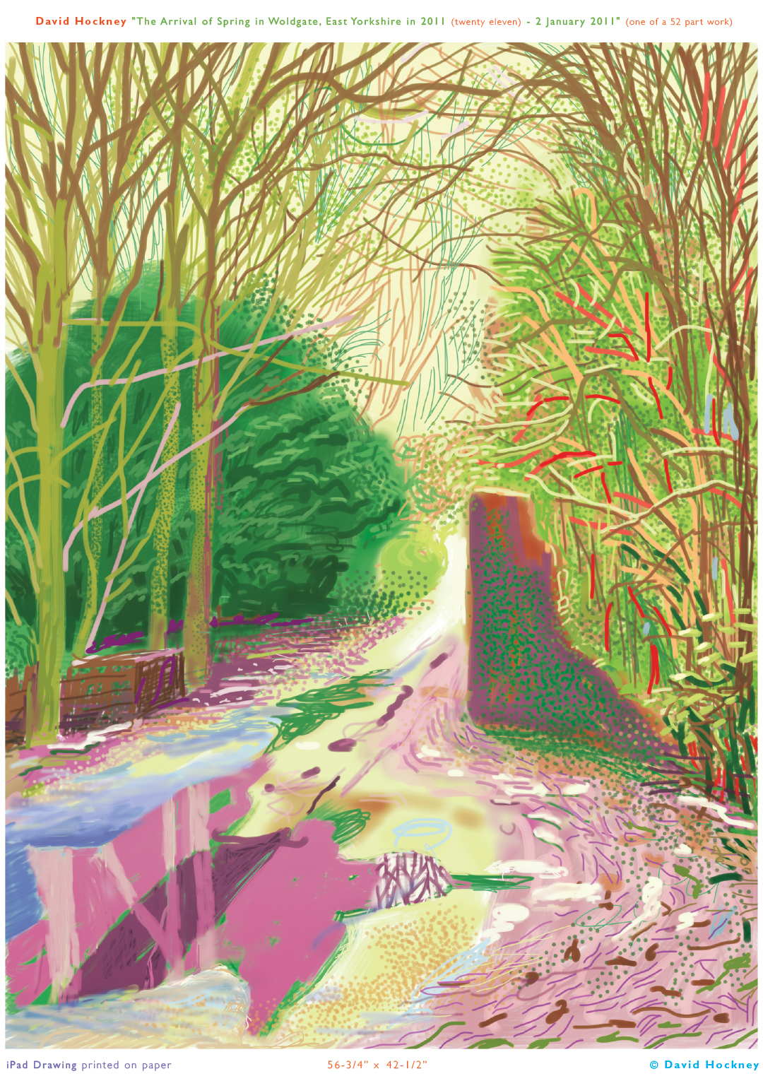 David Hockney Drawing David Hockney